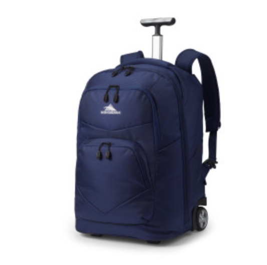 Samsonite Freewheel Pro Backpack