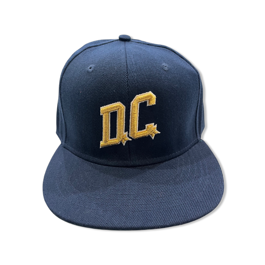 DC Snapback